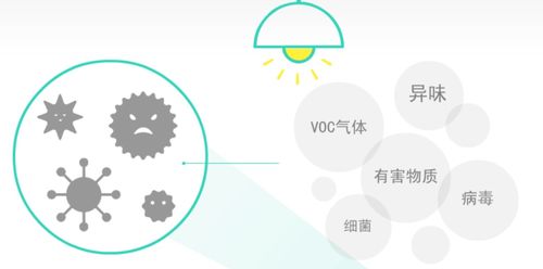 信息技術咨詢服務 一項神奇的技術，兩個不俗的產品